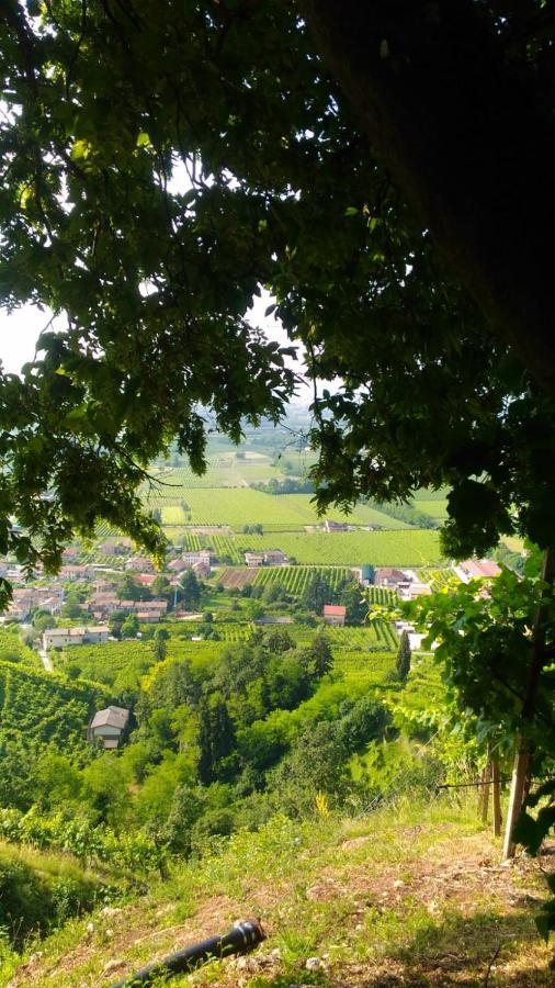 Seven Suites Pieve Pieve di Soligo Bagian luar foto