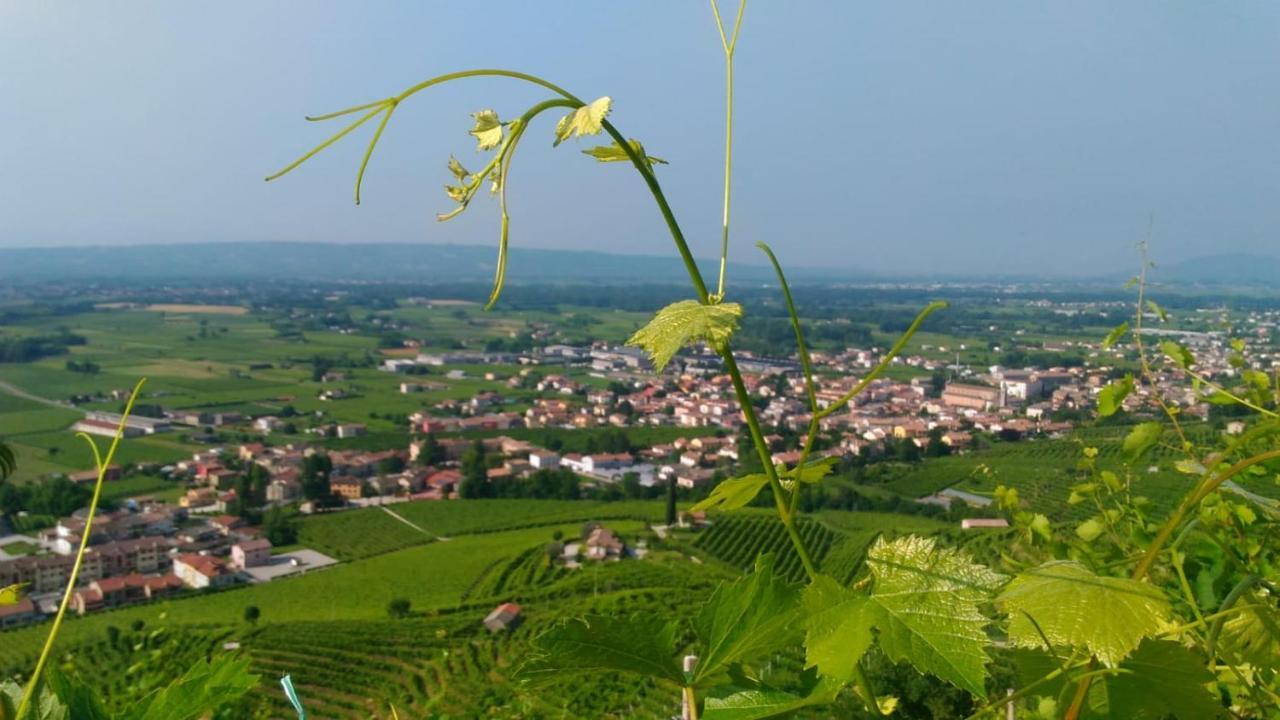 Seven Suites Pieve Pieve di Soligo Bagian luar foto